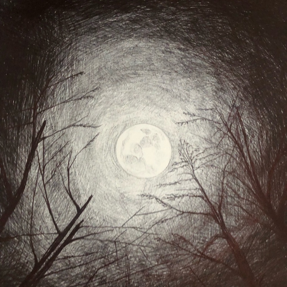 Full Moon - Picture 2 of 6